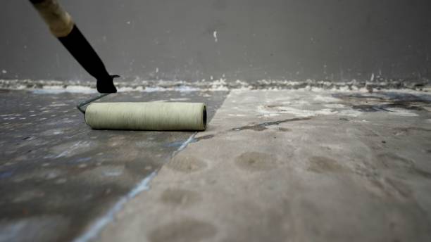 Wall Seepage Fix